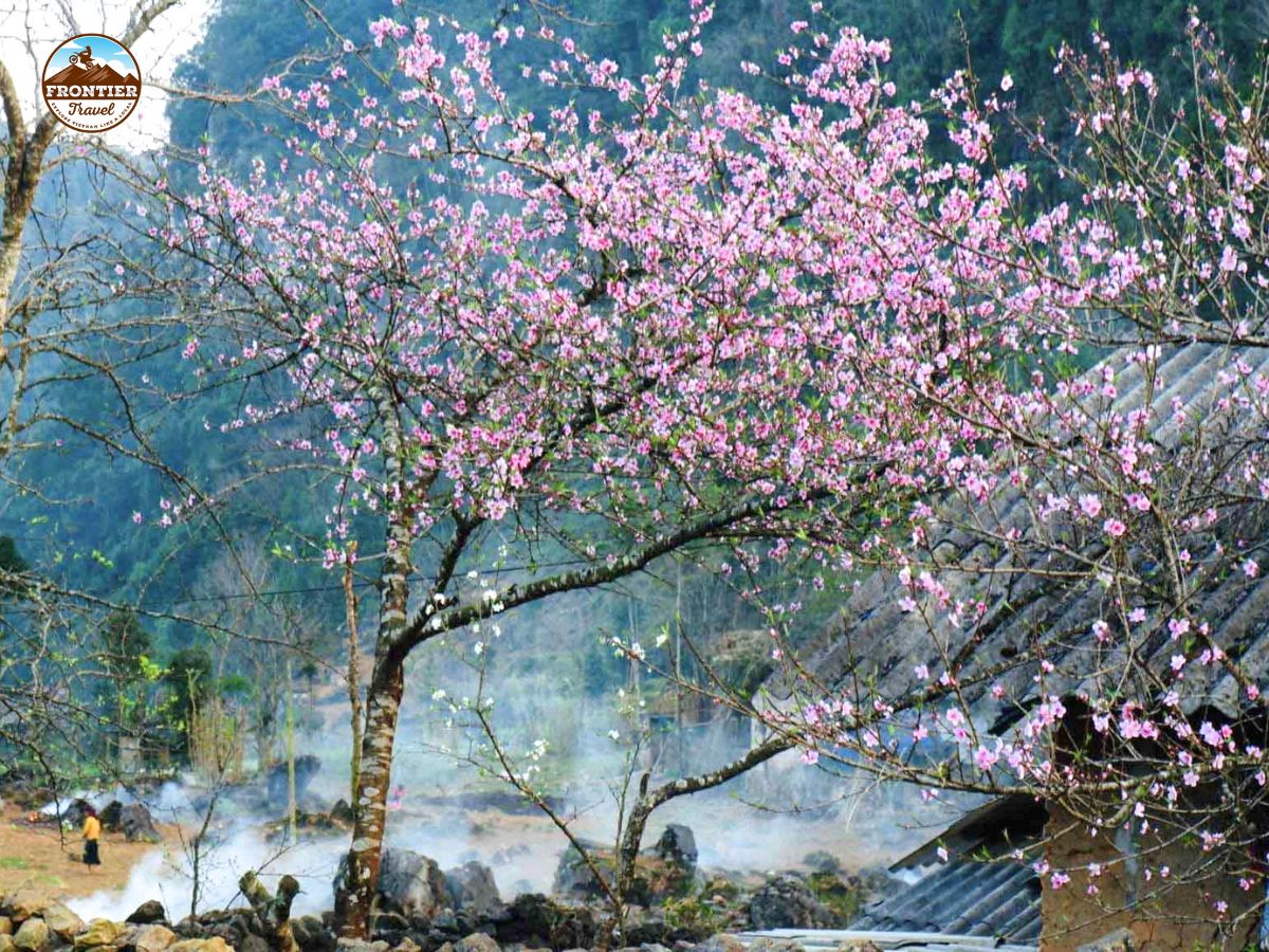 Best Time to Ride the Ha Giang Loop